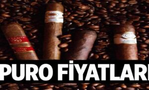 Puro Fiyatlari 1024x622Lqr.jpg