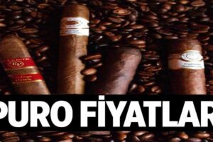 Puro Fiyatlari 1024x622Lqr.jpg