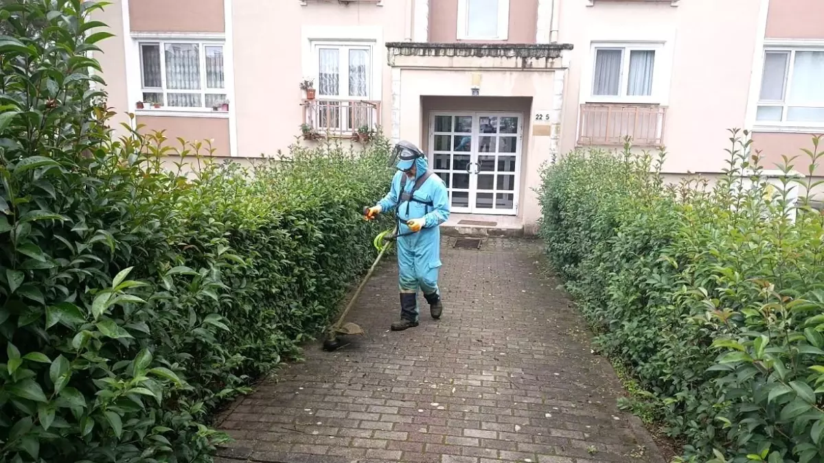 basiskelede yesil alanlar estetik gorunume kavusuyor rx5hebsK.jpg