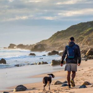 evcil hayvanlari aksam 2100den once gezdirmek yasak kurallara uymayana ceza yagacak aMrUFz6j.jpg