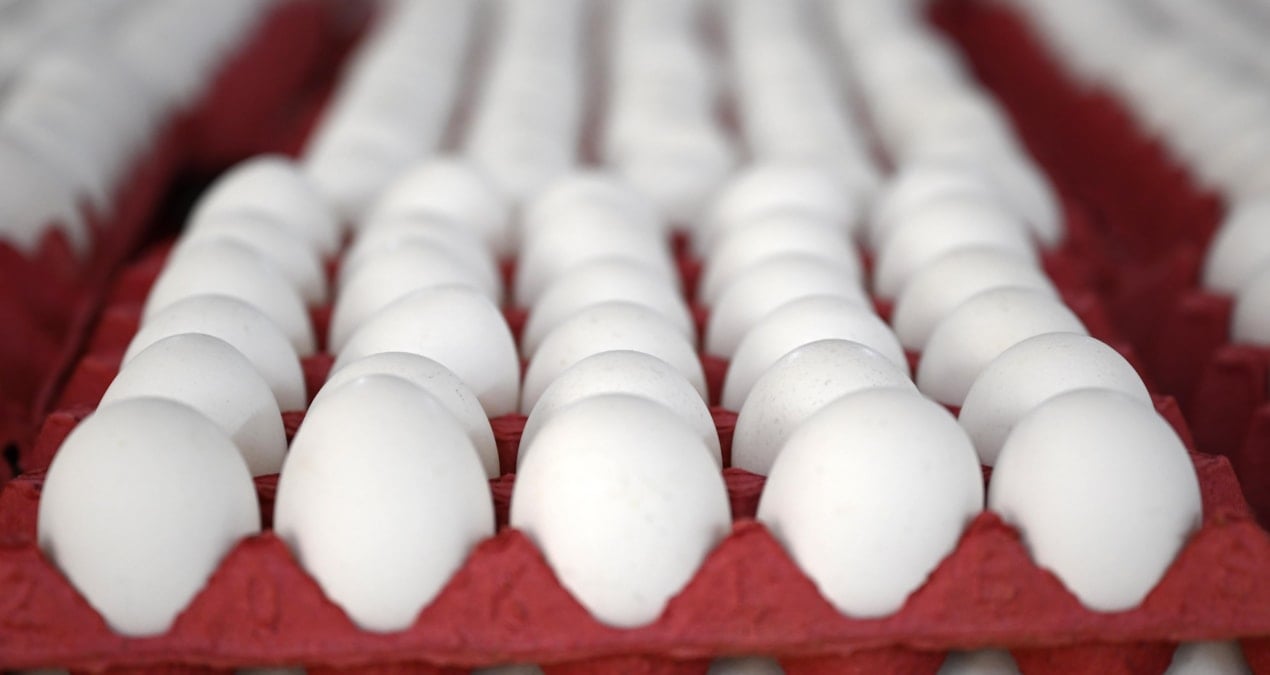 yumurtaya zam gelecek mi en yetkili isim acikladi durvEOPT.jpg