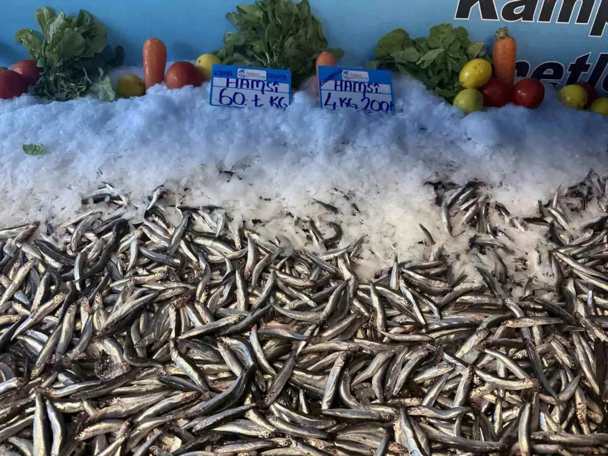 hamsi fiyatlarinda dusus devam ediyor wFbVcA7e.jpg