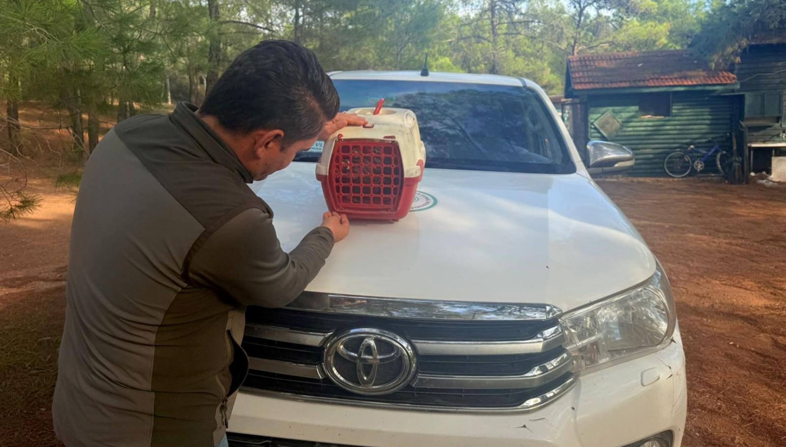 yasadisi kinali keklik satisina 28 bin tl ceza LXTD54Rq.jpg