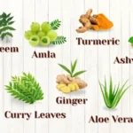 tr_img_1_266
