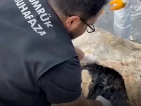Hamzabeylinde yaban hayvani kacakciligina darbe 2 vasak ve 2 serval kurtarildi kG9PROjM